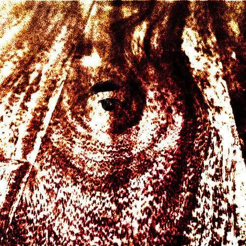 Wood eye