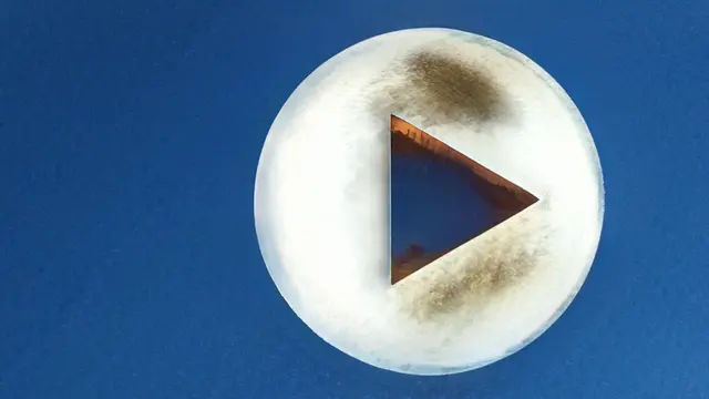VidPly Logo