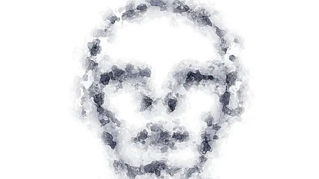 Face abstract
