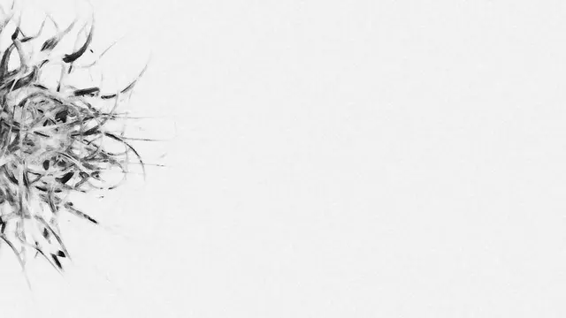 [Translate to English:] 