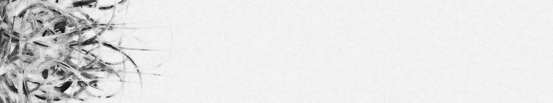 [Translate to English:] 