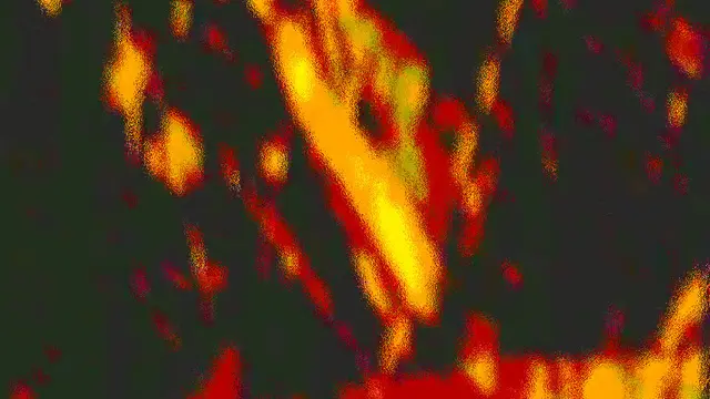 [Translate to English:] 