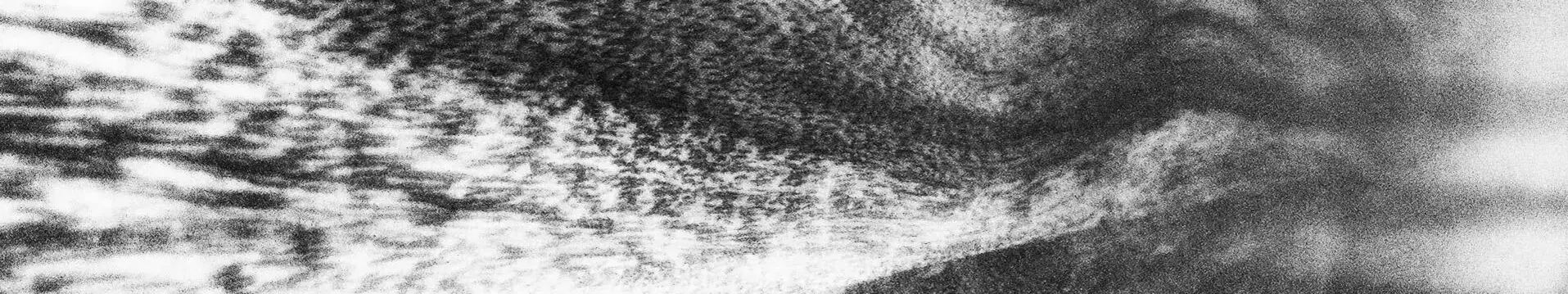 [Translate to English:] 