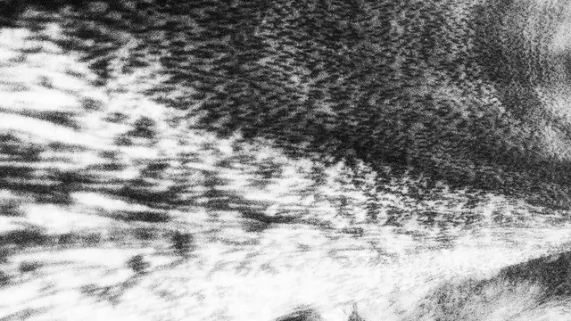 [Translate to English:] 