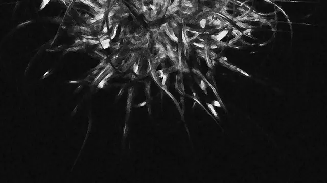 [Translate to English:] 