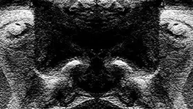Divided ego