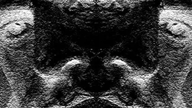 Divided ego