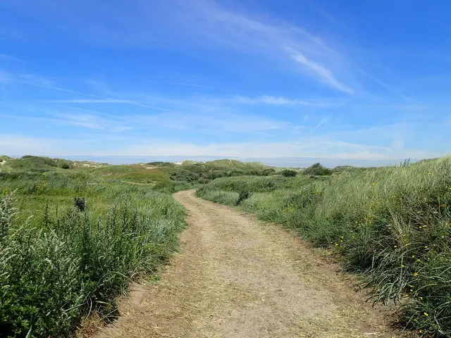 Ein Dünenweg in Egmond an Zee