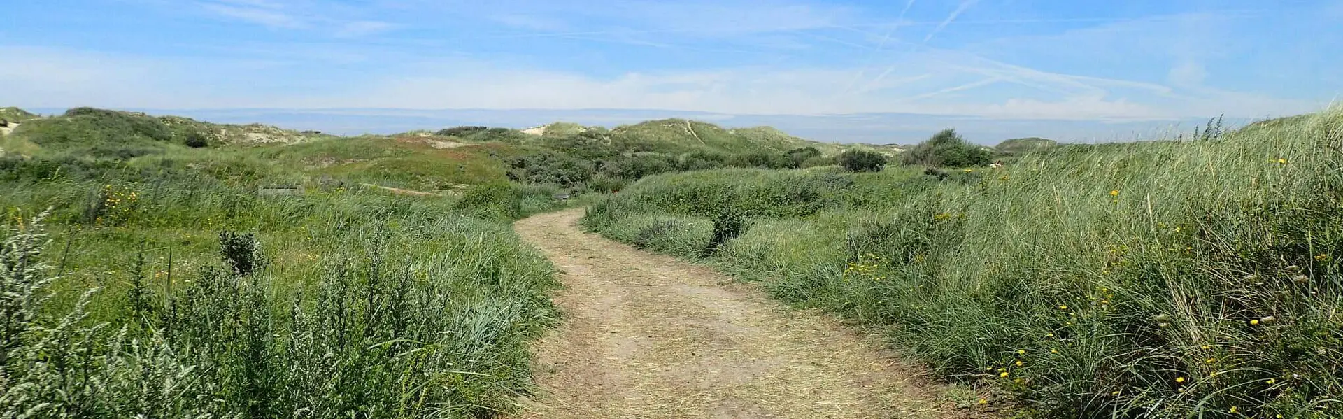 Ein Dünenweg in Egmond an Zee