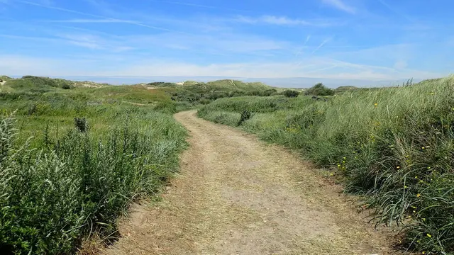 Ein Dünenweg in Egmond an Zee